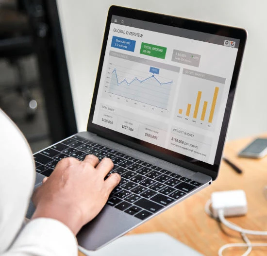 ERP software graph and chart report screen showing customized ERP software solutions.